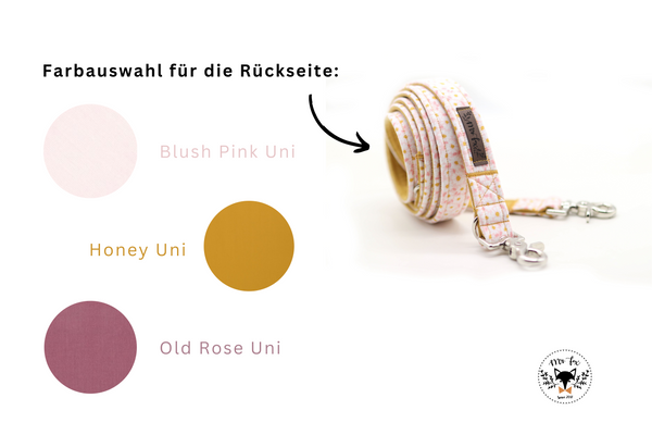 "Darling Daisy" dog leash