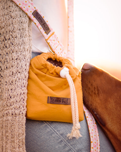 "Darling Daisy" dog leash