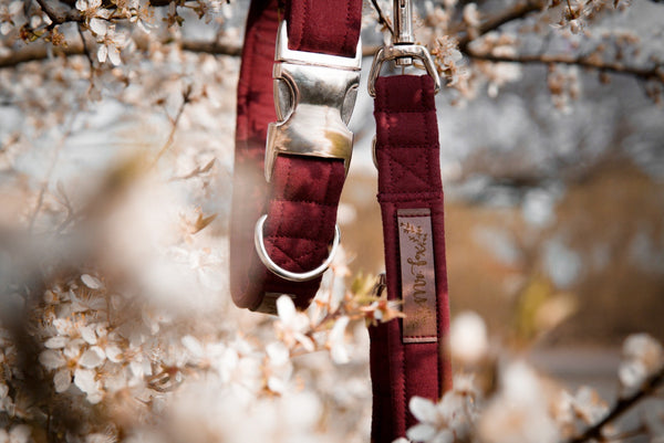 "Burgundy Uni" Hundeleine