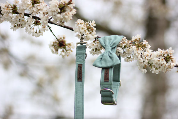 "Dusk Mint Uni" Fliege für Hundehalsbänder