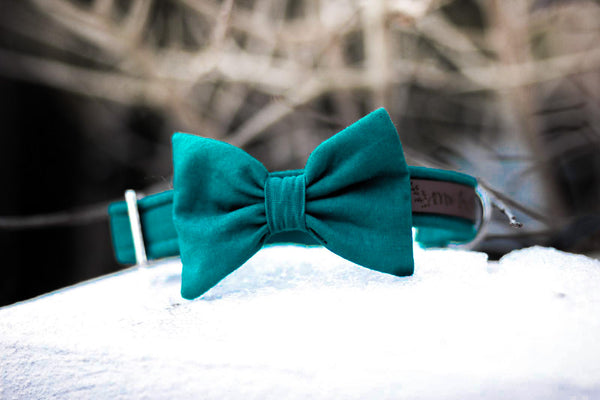 "Petrol Uni" Halsband für Hunde