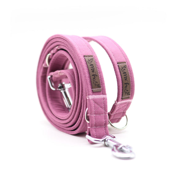 "Old Rose Uni" Halsband für Hunde