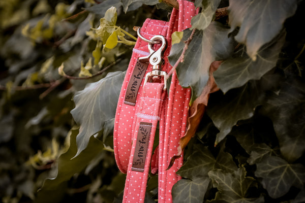 "Coral Polkadot" Halsband für Hunde