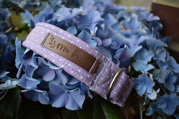 "Lilac Polkadot" Halsband für Hunde