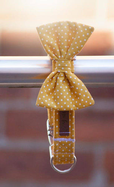 "Mustard Polkadot" Halsband für Hunde