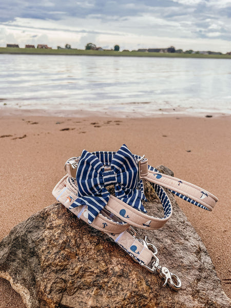 "Salty Sea" dog leash
