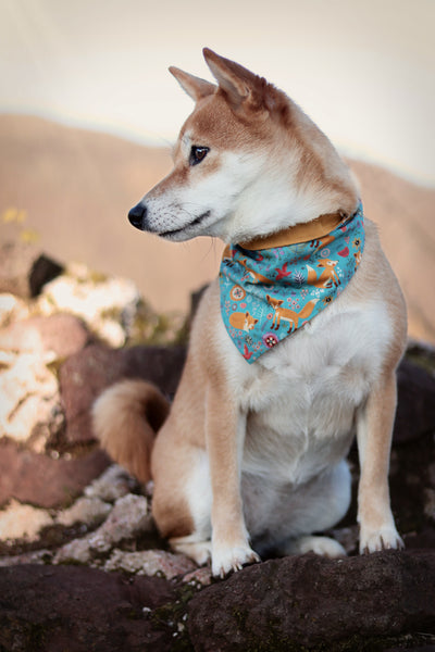 Hund trägt Halstuch mit Füchsen und Blumen