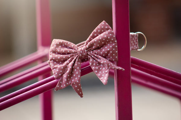 "Mauve Polkadot" Schleife für Hundehalsbänder