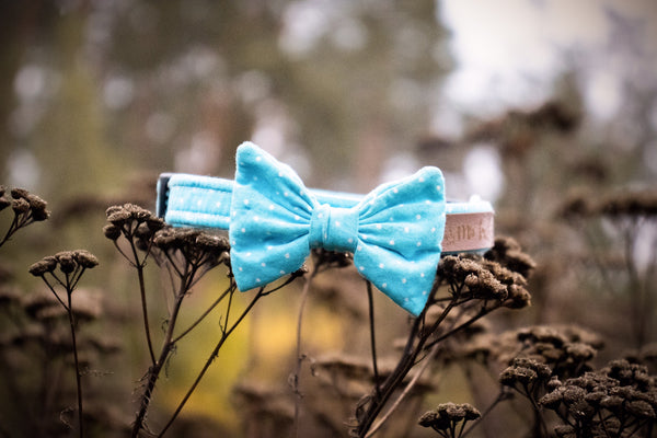 "Teal Polkadot" Halsband für Hunde
