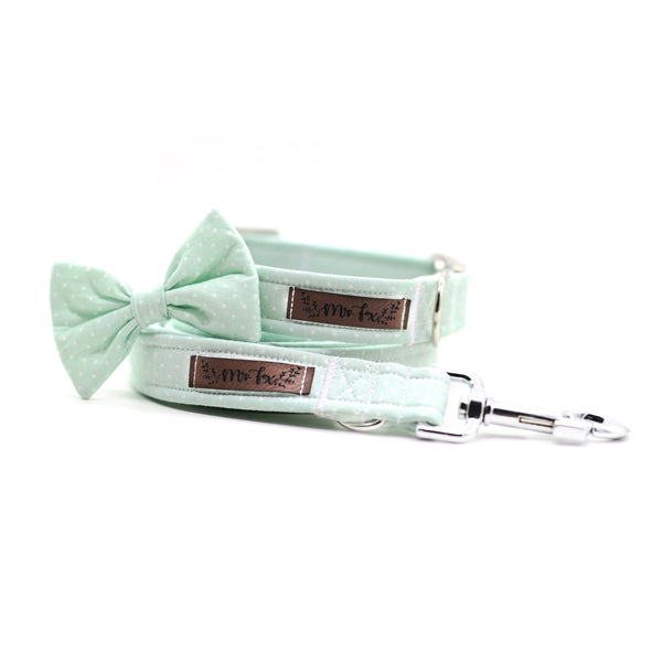 "Mint Polkadot" Halsband für Hunde
