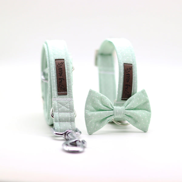 "Mint Polkadot" Halsband für Hunde