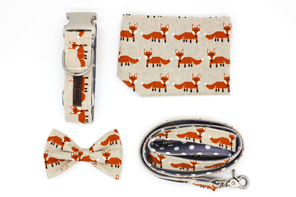 "Fox Festival" dog leash
