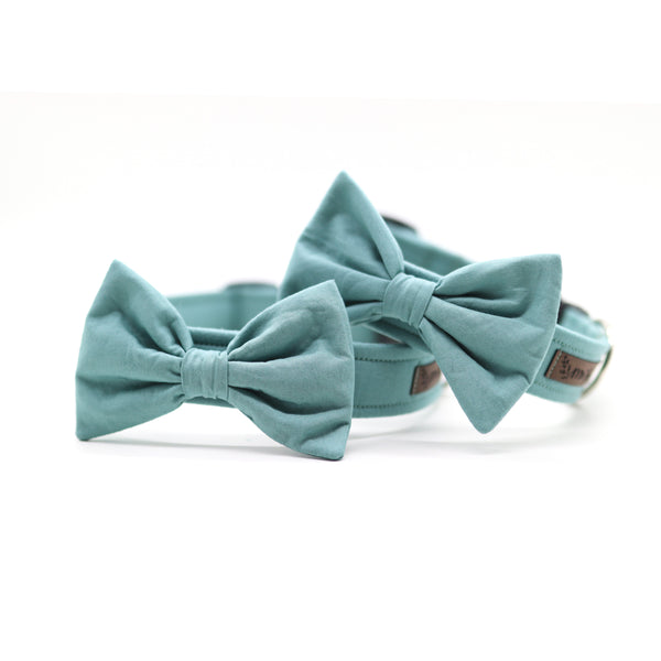"Dusk Mint Uni" Halsband für Hunde