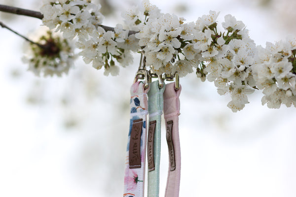 "Blush Pink Uni" Hundeleine