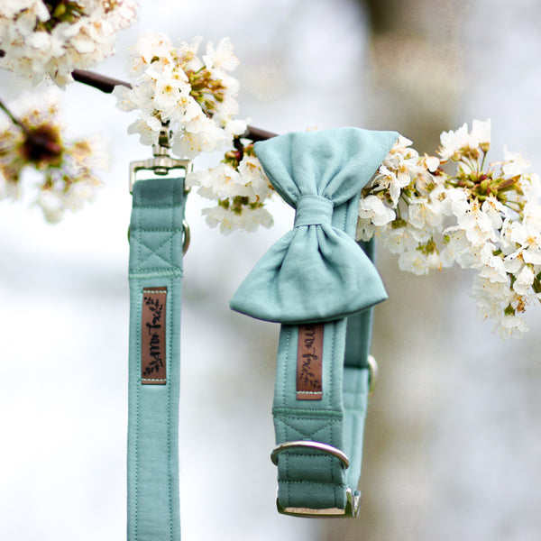 "Dusk Mint Uni" Halsband für Hunde