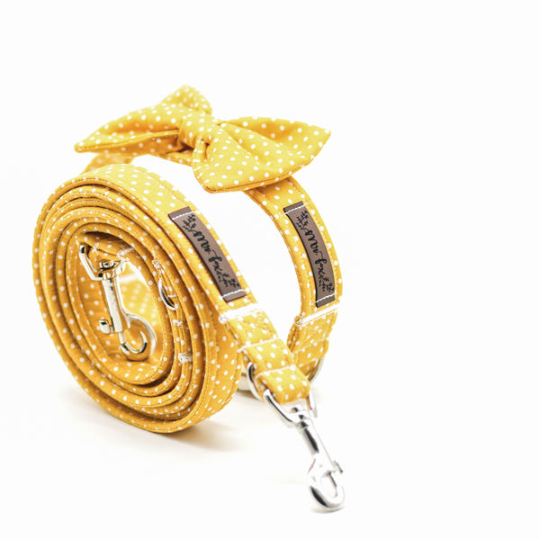 "Mustard Polkadot" Hundeleine