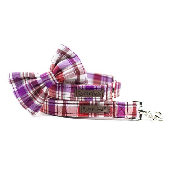 "Mellow Manchester" collar for dogs