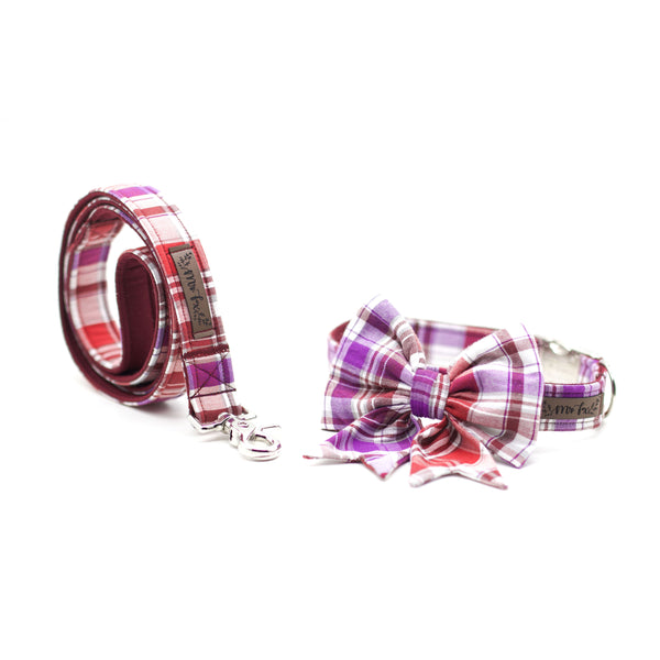 "Mellow Manchester" dog leash