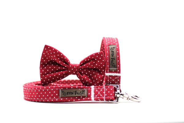 "Burgundy Polkadot" collar for dogs