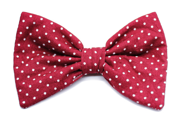 "Burgundy Polkadot" Fliege für Hundehalsbänder