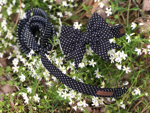 "Black Polkadot" Halsband für Hunde