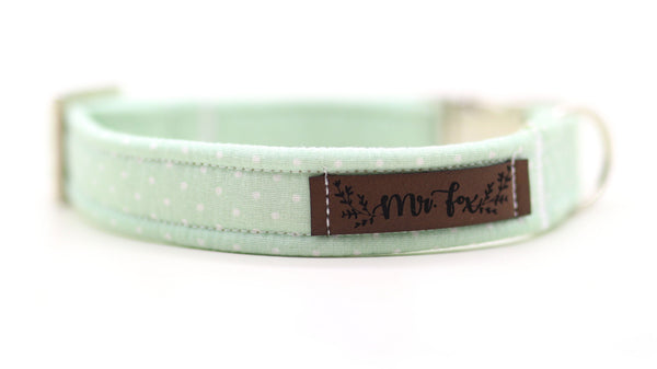 "Mint Polkadot" Halsband für Hunde