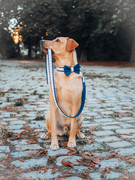 "Wedding Vibes" Hochzeits-Fliege für Hundehalsbänder (Farbauswahl)