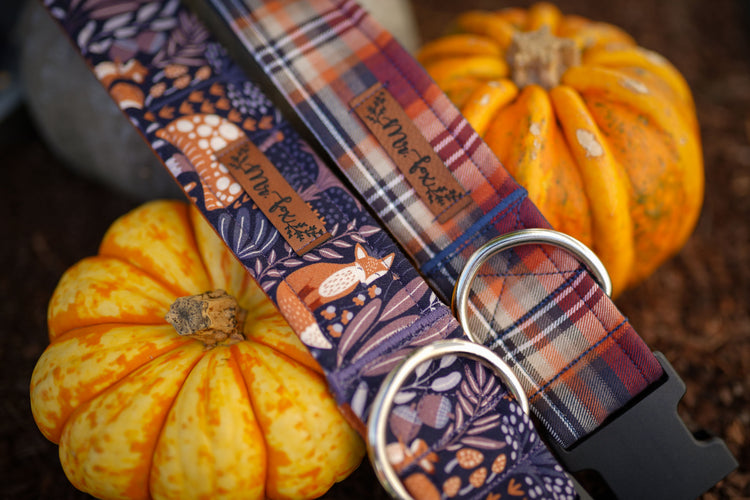 Fall Collection 2026