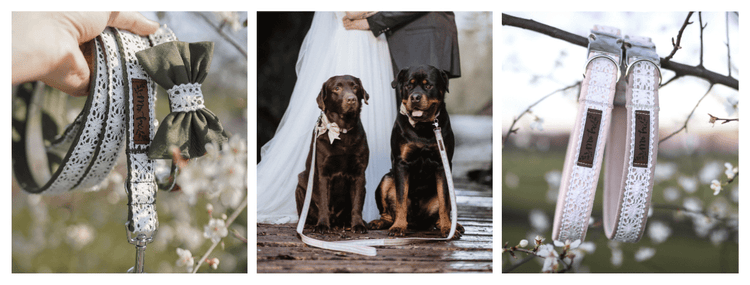 Wedding Vibes Collection - Mr. Fox Hundezubehör