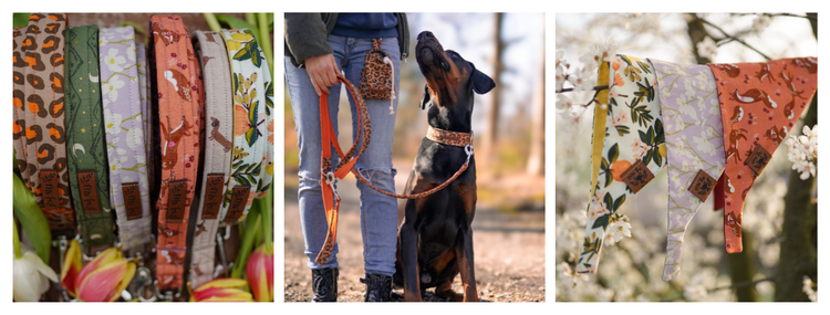 Spring Collection 2026 - Mr. Fox Hundezubehör