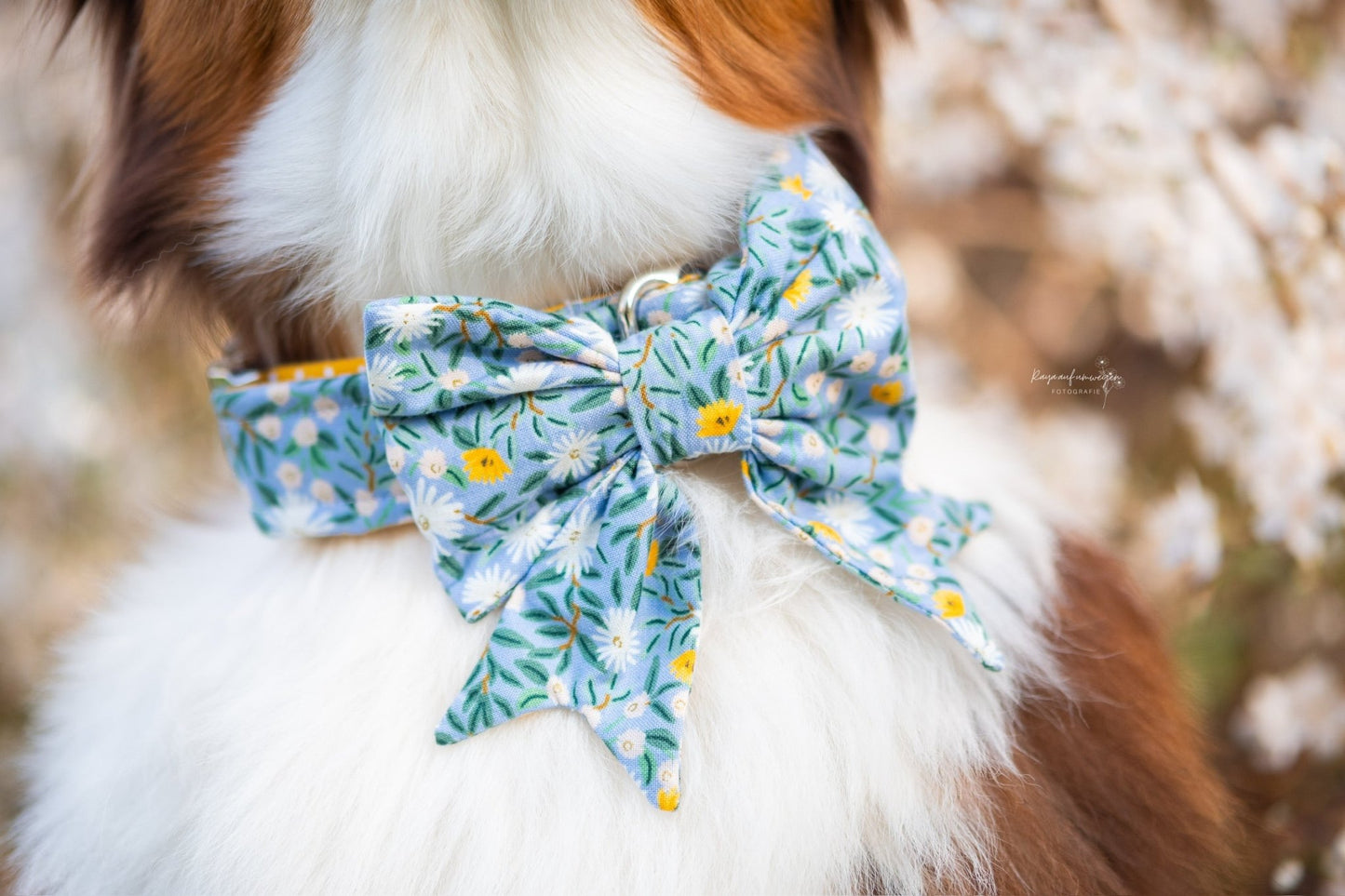 "Blue Bliss" Schleife für Hundehalsbänder - Mr. Fox Hundezubehör