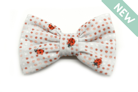 "Lucky Ladybugs" bow tie for dog collars