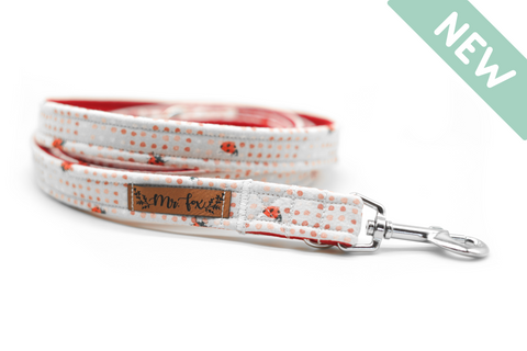 "Lucky Ladybugs" dog leash