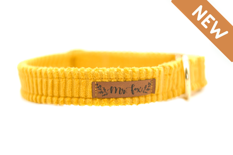 "Sunflower Cord" Halsband für Hunde