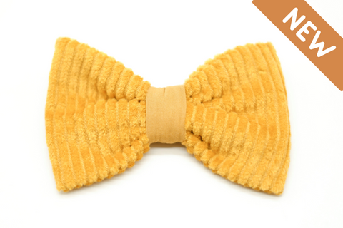 "Sunflower Cord" bow tie for dog collars