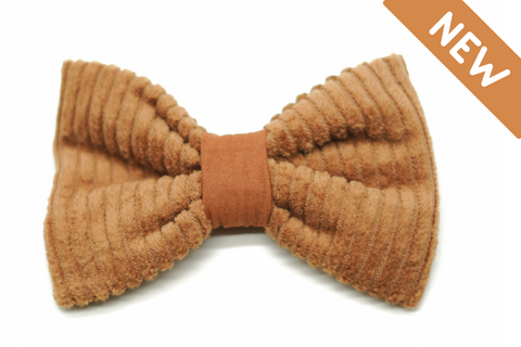 "Cognac Cord" bow tie for dog collars