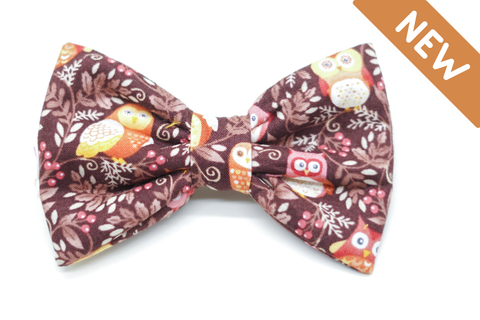 "Obsessed with Owls" bow tie for dog collars