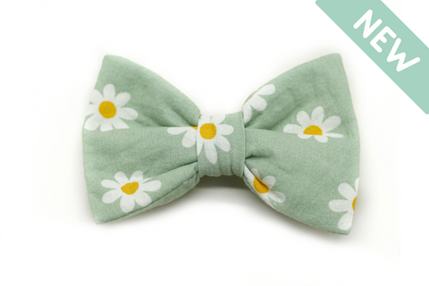 "Daisy Dream" bow for dog collars