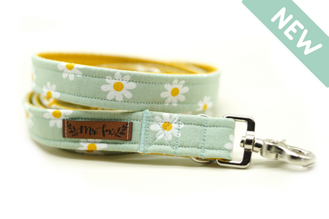 "Daisy Dream" dog leash