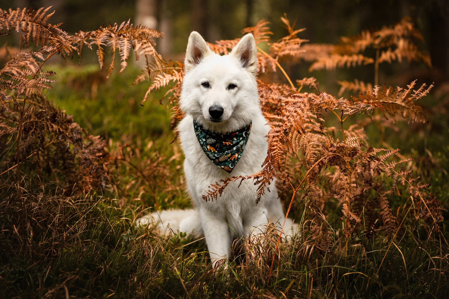 "Fantastic Fox" Hundehalstuch - Mr. Fox Hundezubehör