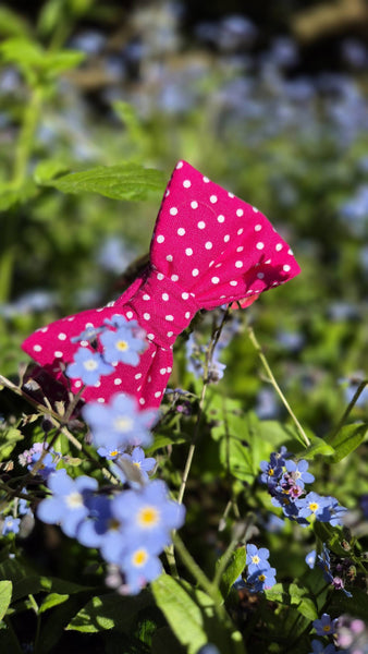 "Pink Polkadot" bow tie for dog collars