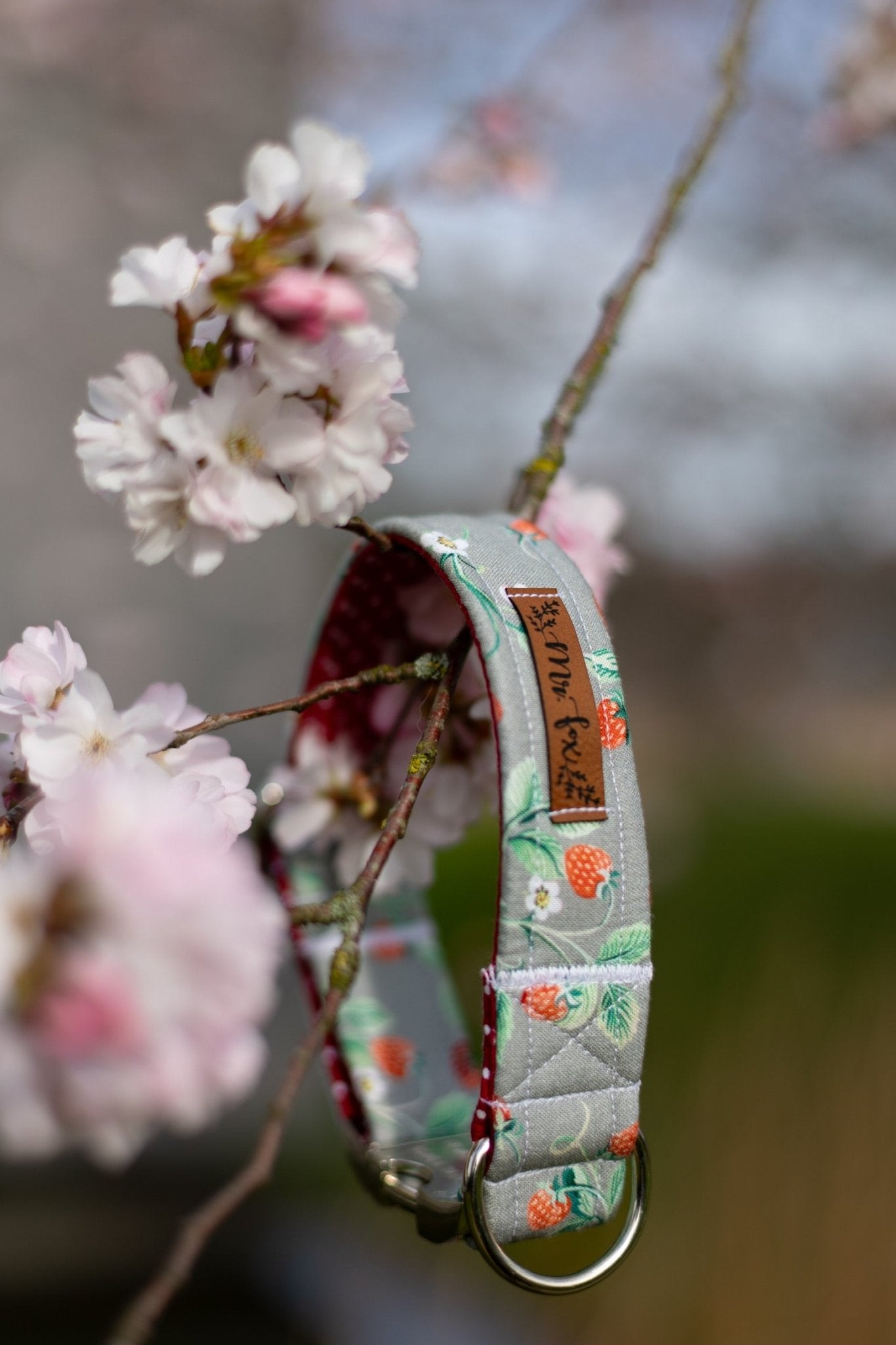 "Sweet Strawberries" Halsband für Hunde - Mr. Fox Hundezubehör