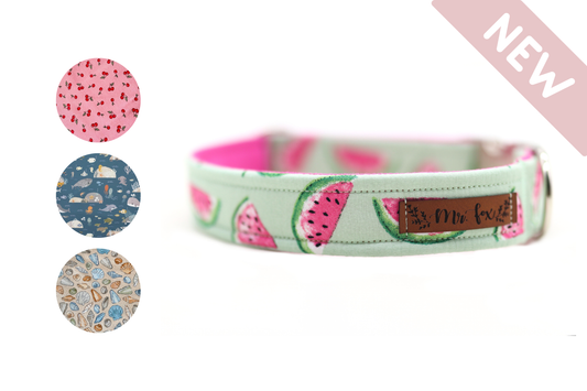 "Summer Collection" Collar for Dogs (Pattern Selection)