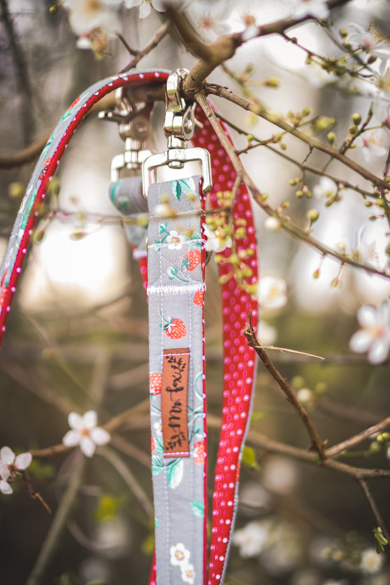 "Sweet Strawberries" Halsband für Hunde - Mr. Fox Hundezubehör