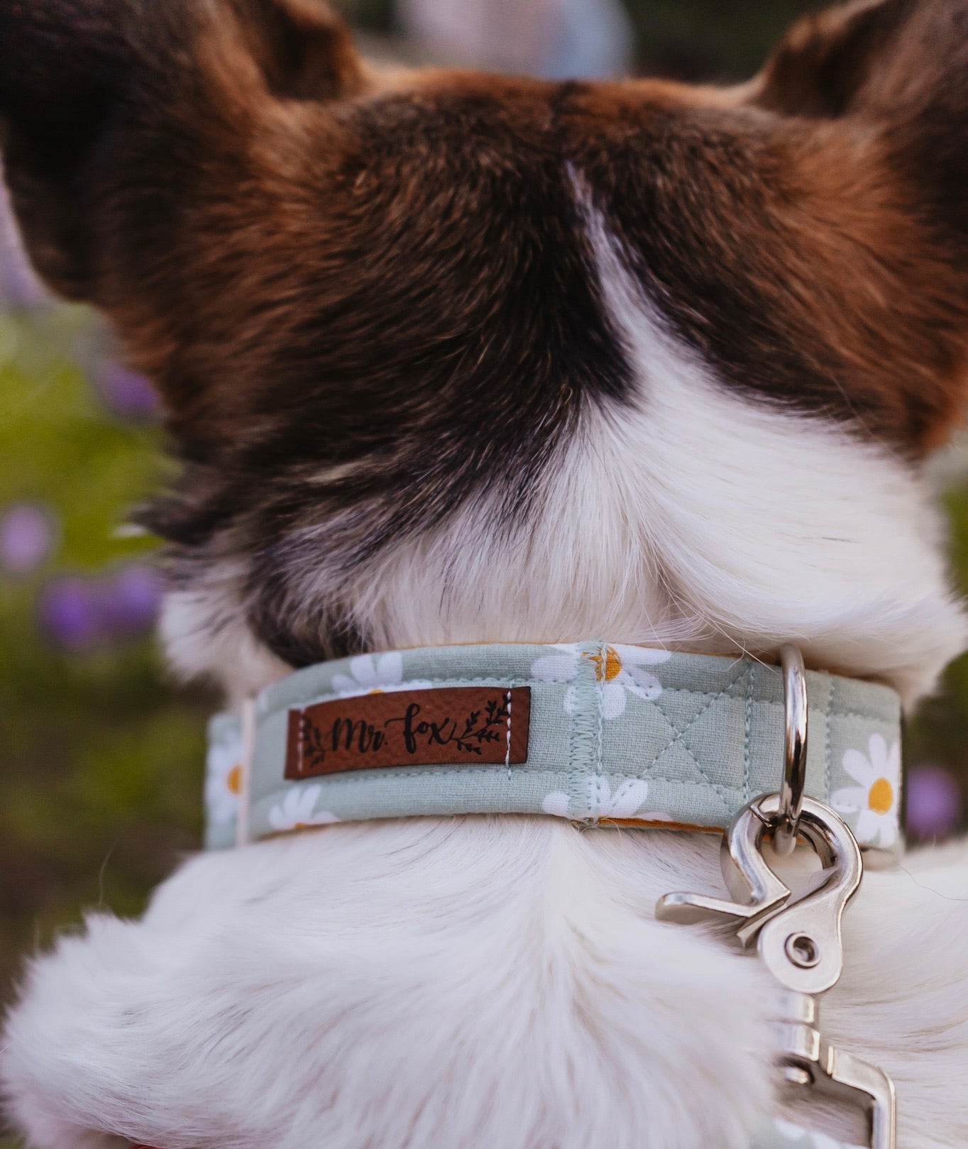 "Daisy Dream" Halsband für Hunde - Mr. Fox Hundezubehör