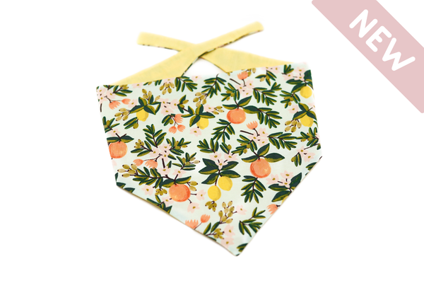 "Botanical Breeze" Hundehalstuch