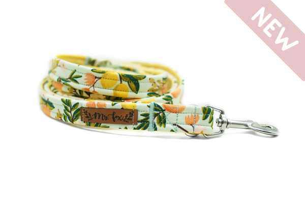 "Botanical Breeze" Hundeleine