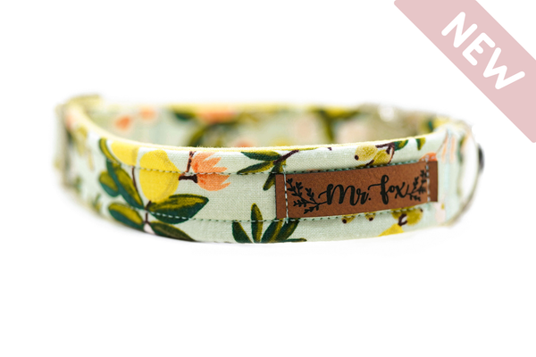 "Botanical Breeze" Halsband für Hunde