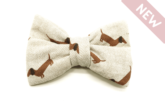 "Dashing Dachshunds" Fliege für Hundehalsbänder - Mr. Fox Hundezubehör