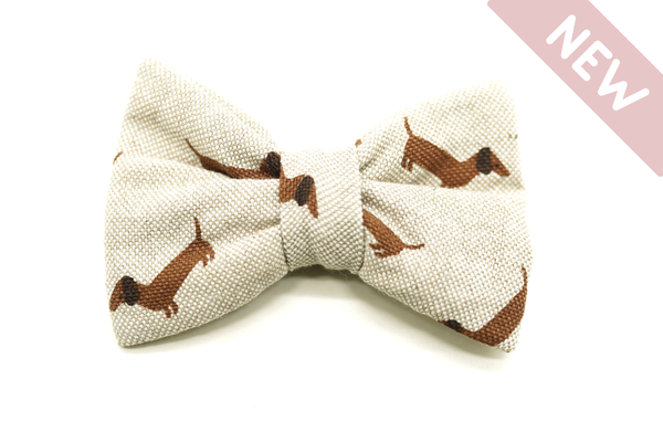 "Dashing Dachshunds" Fliege für Hundehalsbänder
